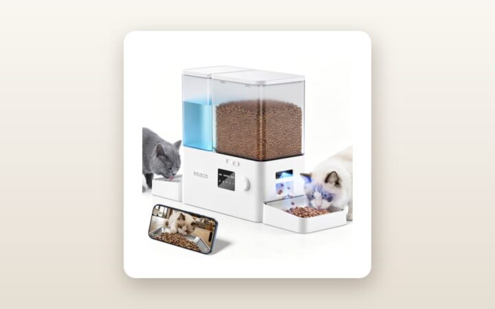 ROJECO Automatic Cat Feeder with Camera Review: Smart Value?